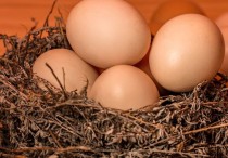 17 個夢見水煮蛋的解釋：夢見掉水煮蛋、夢見分享水煮蛋