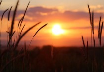 12 個夢見夕陽下山的解釋： 夢見紅色夕陽、夢見太陽升起