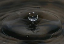 9 個夢見鈴鐺的解釋，夢到搖鈴代表什麼徵兆？