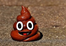 7 個夢見糞便有血的解釋: 夢見血便 、 夢見清理血便