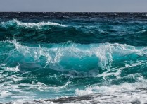 20 個夢見波浪的解釋，夢到骯髒波浪代表什麼徵兆？