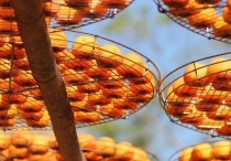 5 個夢見吃紅色柿子的解釋：夢見紅色柿子開張、夢見紅色柿子掉下