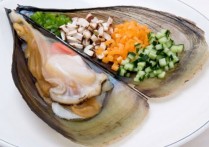 夢見蛤蜊的 6 個周公解夢含義