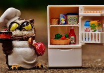 夢見冰箱的39個解夢含義：夢見清潔冰箱 、夢見空冰箱、夢見冰箱裝滿了