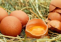 15 個夢見蛋黃的解釋：夢見蛋黃掉落、夢見一大碗蛋黃
