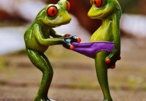 12 個夢見內衣的解釋：夢見脫下內褲 、 夢見內褲遺失