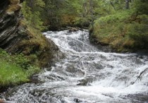 5 個夢見河水氾濫的解釋:夢見河水氾濫 、夢見河水結冰