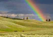 13 個夢見彩虹的解釋：夢見彩虹與雨水、夢見彩虹消失