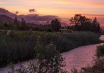 25個河流的夢境含義：夢見流淌的河流、夢見河裡流淌著乾淨的水