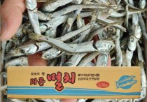 8 個​夢見鳳尾魚的解釋：夢見送鳳尾魚 、 夢見煮鯷魚
