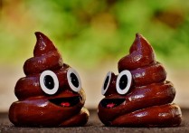 17 個夢見嬰兒便便的象徵和含義解釋