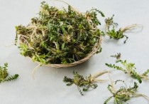 5 個夢見辣根的解釋：夢見修剪辣根、夢見摳辣根