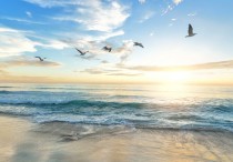 5 個夢見清澈大海的解釋:夢見在清澈的海水裡游泳 、夢見進入清澈的大海