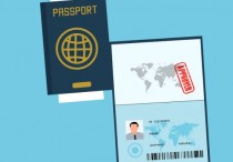 5 個夢見護照的解釋：夢見護照遺失、夢見製作護照