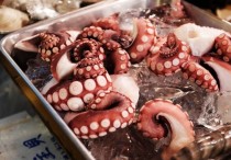 11 個夢見章魚的解釋：夢見一隻章魚從水中消失 、 夢見章魚纏繞著別人