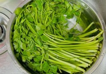 夢見毛茛是什麼意思（8 種夢境預兆含義）