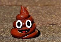 20 個夢見大便的解釋： 夢見貓便、夢見嬰兒便便