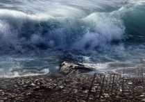 16 個夢見海嘯的象徵和含義解釋