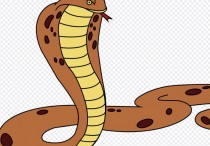 5 個夢見殺死一條橙色的蛇的解釋：夢見橙色蛇玩蛇、 夢見有人殺死橙色蛇