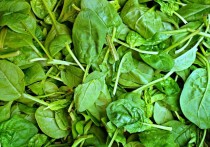 夢見菠菜是什麼意思（8 種夢境預兆含義）