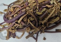 5 個夢見蕨類植物的解釋：夢見蕨類植物折斷 、 夢見蕨菜