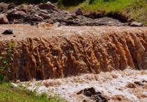 5 個夢見髒河的解釋:夢見跳進骯髒的河裡 、 夢見遇到骯髒的河流