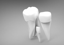 10 個夢見上牙的解釋：夢見上排牙齒掉落、 夢見長上排牙齒