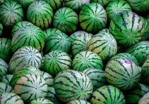 17 個夢見一個大西瓜的解釋：夢見切西瓜 、夢見種西瓜