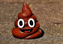 6 個夢見手上有便便的解釋:夢見用手清理便便 、夢見擦沾滿便便的手