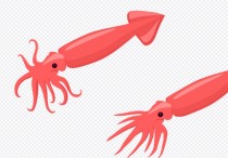夢見魷魚的 10 個周公解夢：夢見殺死魷魚、夢見買魷魚
