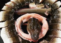 7 個夢見鰻魚的解釋：夢見鰻魚逃跑、夢見白鰻魚