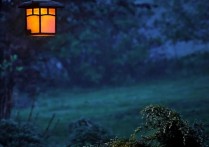 8 個夢見黑暗的解釋：夢見黑暗的地方、夢見黑夜
