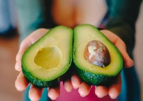 20 個夢見酪梨的象徵和含義解釋