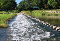 5 個夢見溪流的解釋:夢見去溪邊玩 、夢見掉進溪流裡