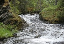 5 個夢見清澈河流的解釋:夢見清澈的河流流淌、夢見清澈的河流