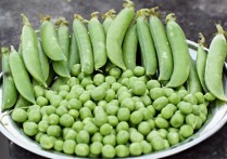 夢見豌豆的 10 個周公解夢：夢到賣豌豆、夢見扔掉豌豆