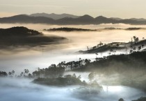 9 個​夢見白霧的解釋：夢見迷失在霧中、夢見霧中閃耀光芒