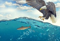 15 個​夢見被攻擊的象徵和含義解釋