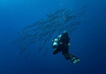 14 個​夢見捕撈的象徵和含義解釋