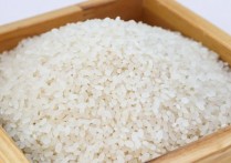 27 個​夢見米飯的象徵和含義解釋