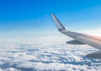 夢見乘坐飛機 - 周公解夢、8個夢境預兆