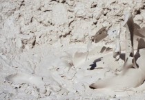 7 個夢見泥濘的解釋：夢見另一個人在泥巴裡、夢見掉進泥潭