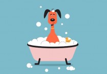 11 個夢見在浴室游泳的解釋：夢見浴場水流時游泳、夢見在黑暗浴缸中游泳