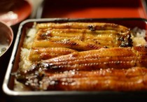 12 個夢見鰻魚的解釋：夢見鰻魚逃跑 、 夢見與鰻魚戰鬥