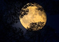 17 個夢見滿月的解釋：夢見白天滿月、夢見夜晚滿月