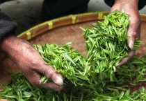 10 個夢見收割的象徵和含義解釋