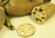 夢見蓮藕是什麼意思（7 種夢境預兆含義）