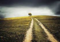 12 個夢見山丘的解釋：夢見爬山、夢見自己在山丘上