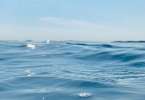 5 個夢見深海的解釋:夢見海洋深層水、夢見進入深海