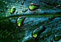 7 個夢見雨水的象徵和含義解釋